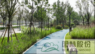 电竞比赛押注app