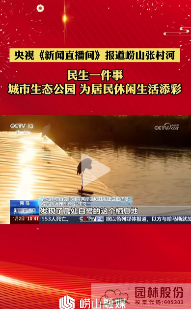 电竞比赛押注app