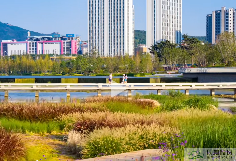 电竞比赛押注app