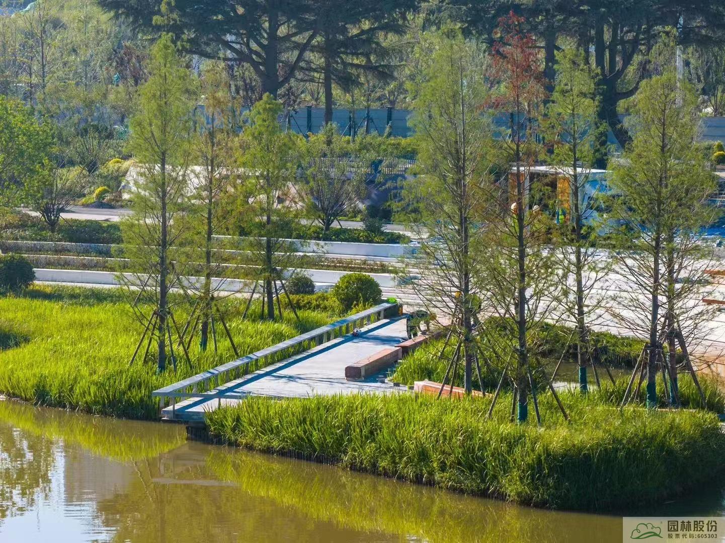 电竞比赛押注app