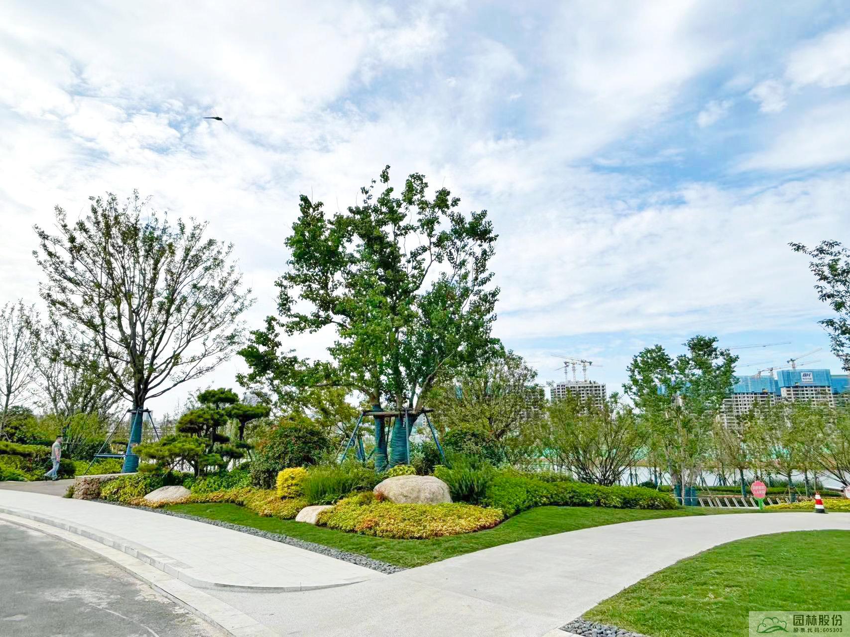 电竞比赛押注app