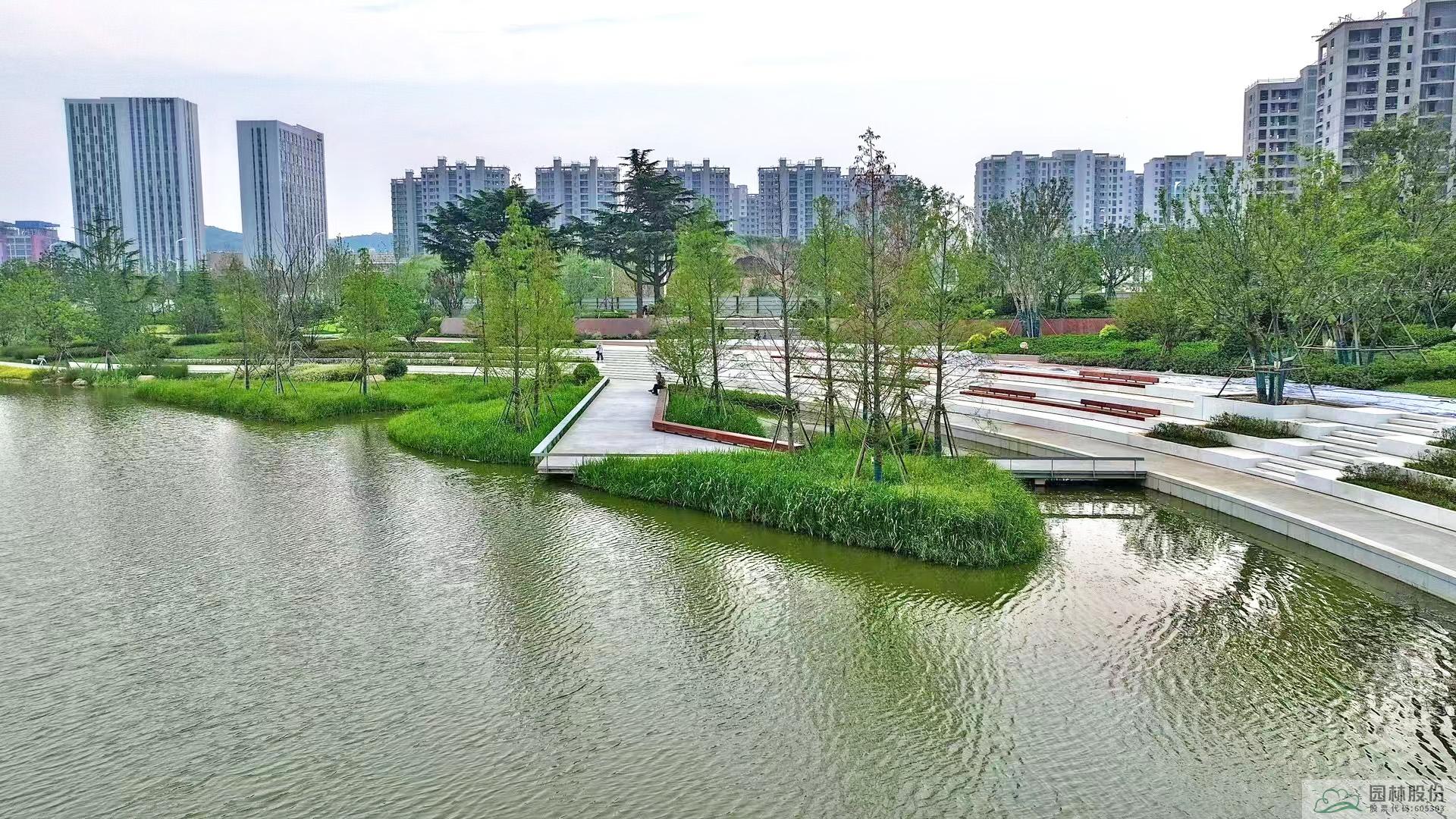 电竞比赛押注app