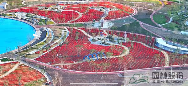 电竞比赛押注app