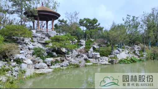 电竞比赛押注app