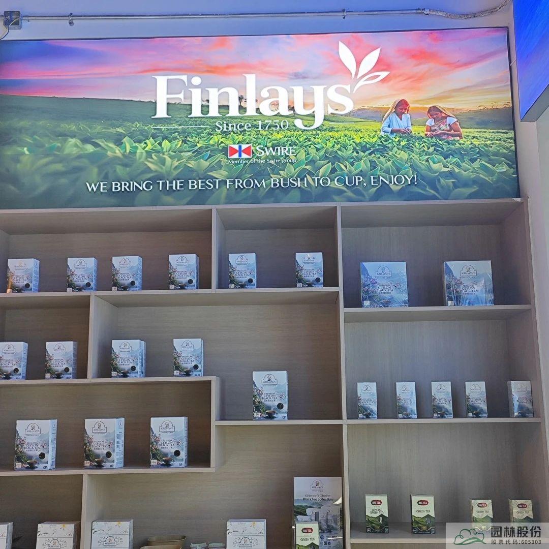 电竞比赛押注app