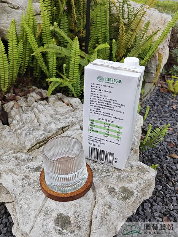 电竞比赛押注app