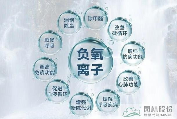 电竞比赛押注app