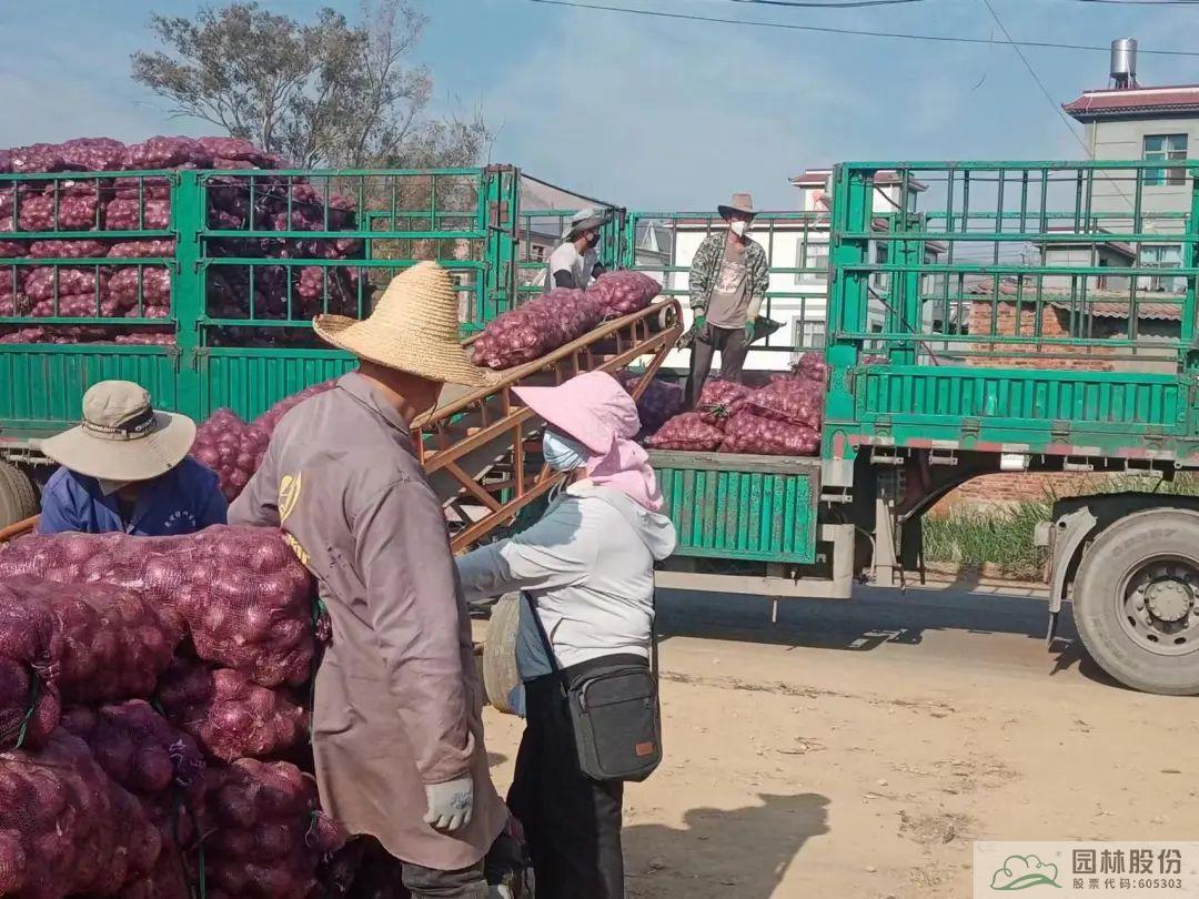 电竞比赛押注app