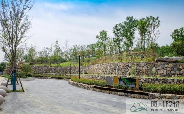 电竞比赛押注app