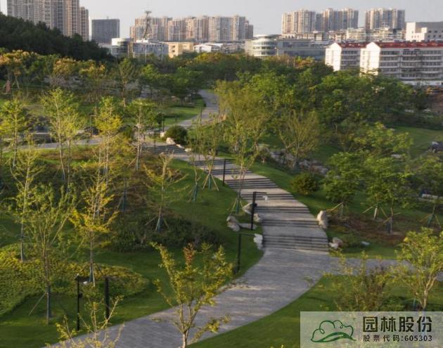 电竞比赛押注app