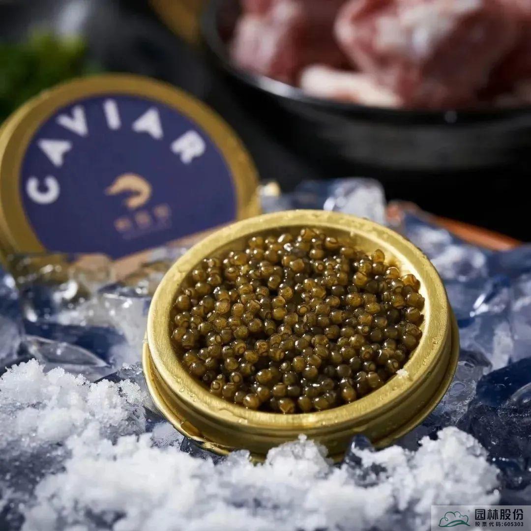 电竞比赛押注app