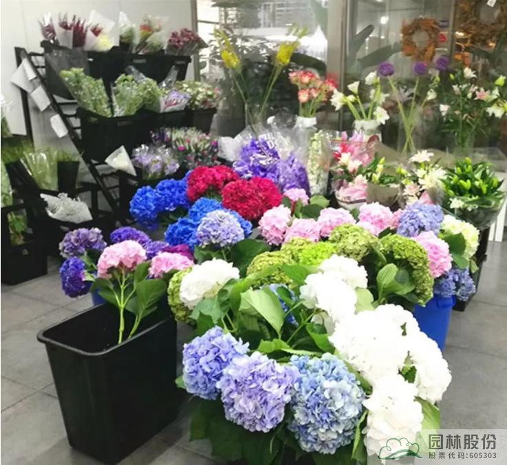 电竞比赛押注app