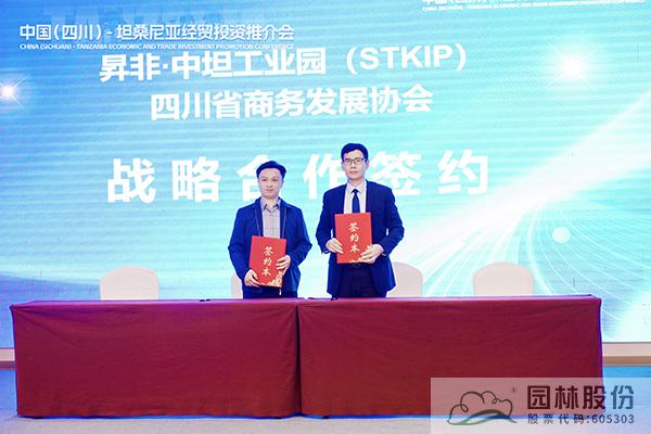 电竞比赛押注app