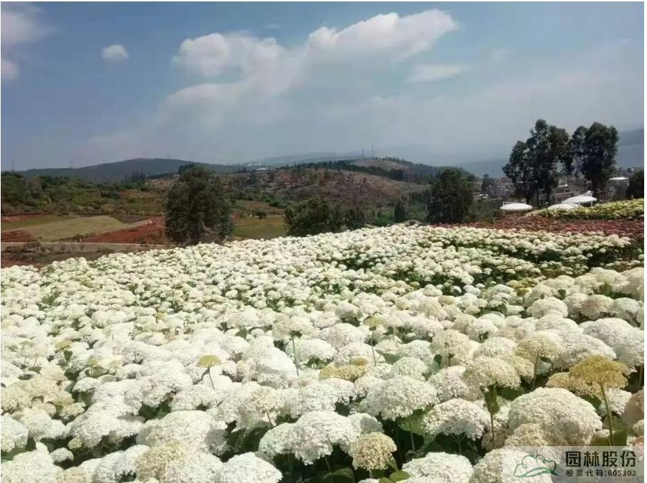 电竞比赛押注app