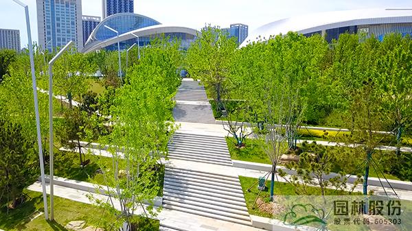 电竞比赛押注app