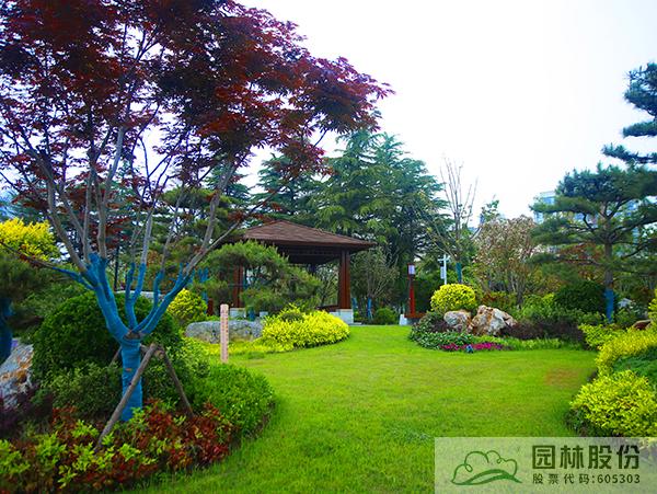 电竞比赛押注app