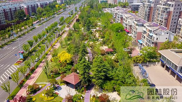 电竞比赛押注app