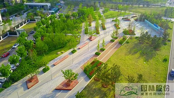 电竞比赛押注app