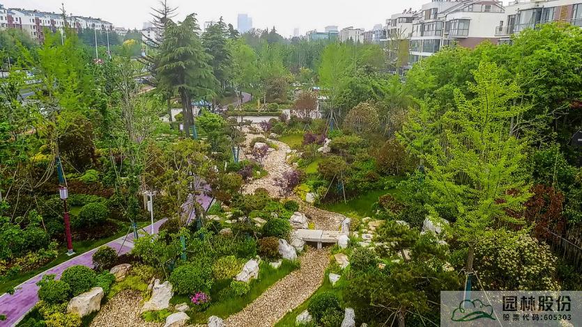 电竞比赛押注app