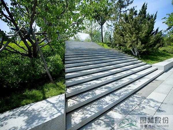 电竞比赛押注app