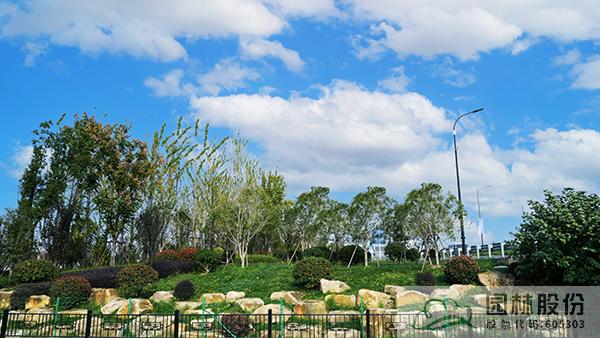 电竞比赛押注app