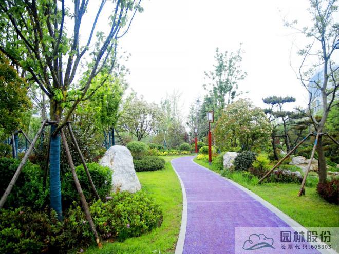 电竞比赛押注app