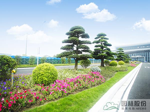 电竞比赛押注app