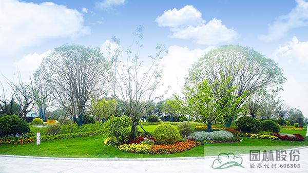 电竞比赛押注app