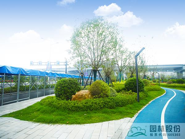 电竞比赛押注app