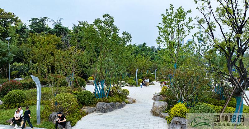 电竞比赛押注app