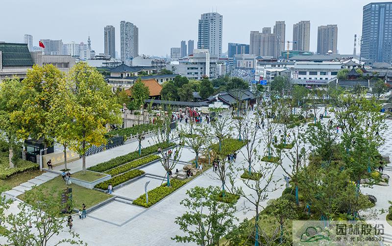 电竞比赛押注app