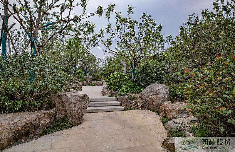 电竞比赛押注app