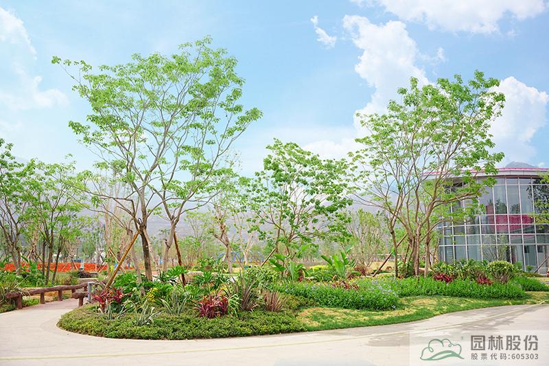 电竞比赛押注app