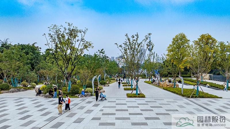 电竞比赛押注app