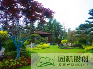 电竞比赛押注app