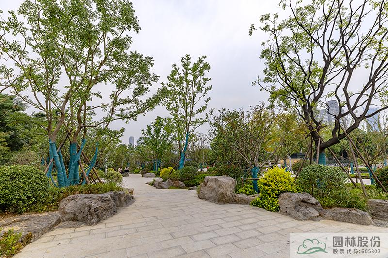 电竞比赛押注app