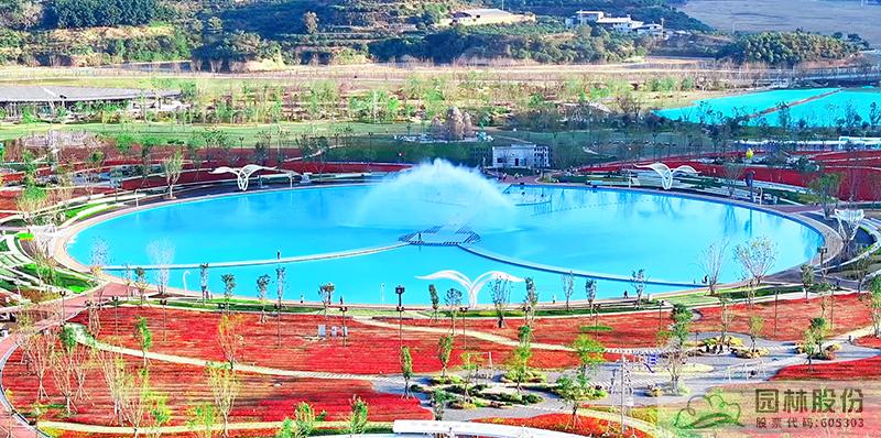 电竞比赛押注app