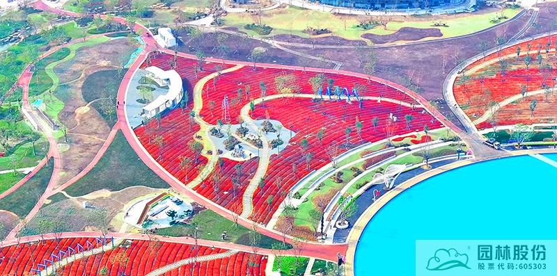 电竞比赛押注app