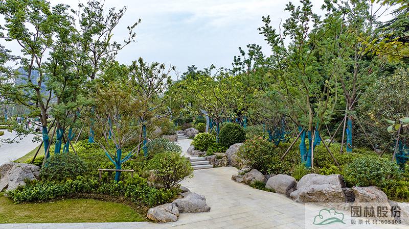 电竞比赛押注app