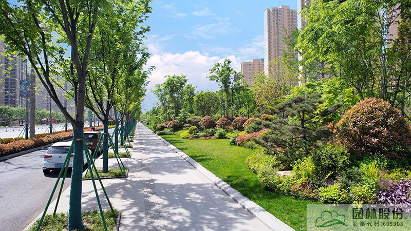 电竞比赛押注app