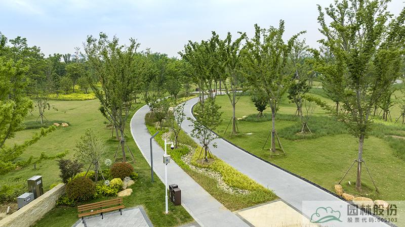 电竞比赛押注app