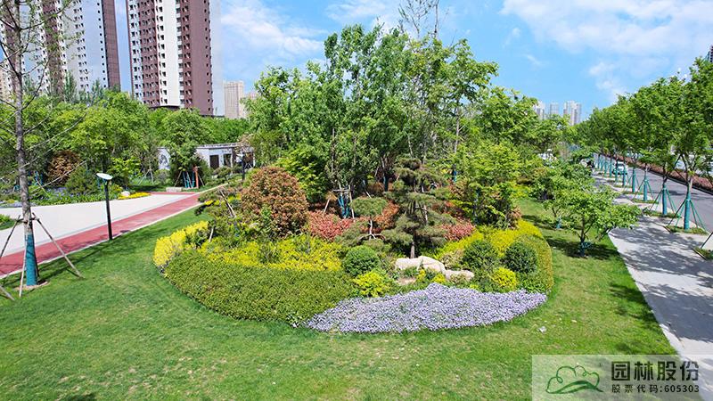 电竞比赛押注app