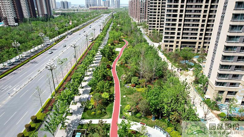 电竞比赛押注app