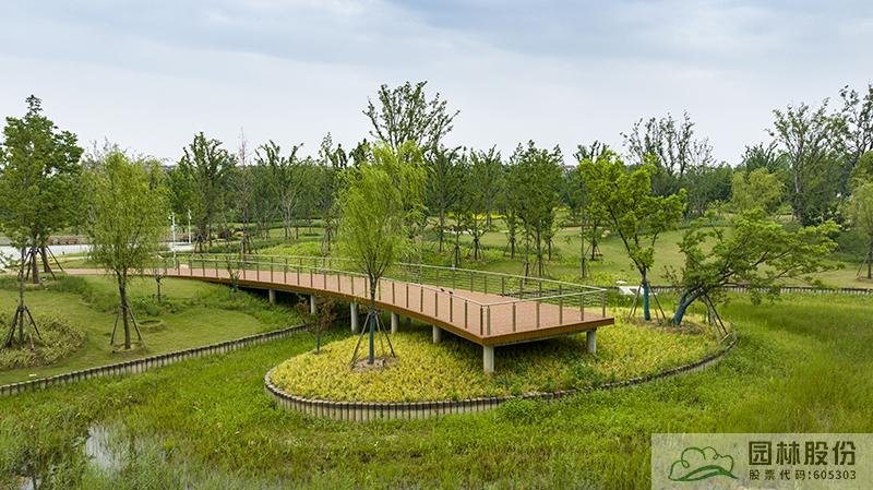 电竞比赛押注app