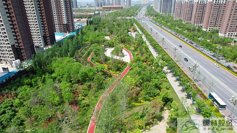 电竞比赛押注app