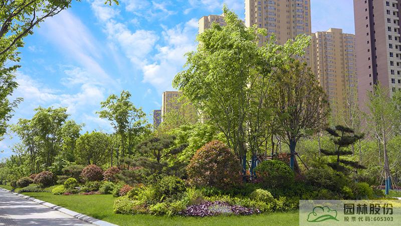 电竞比赛押注app