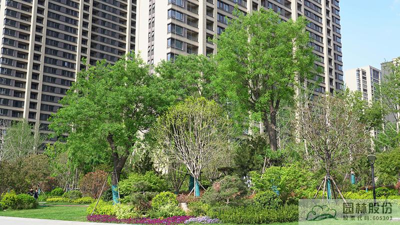 电竞比赛押注app