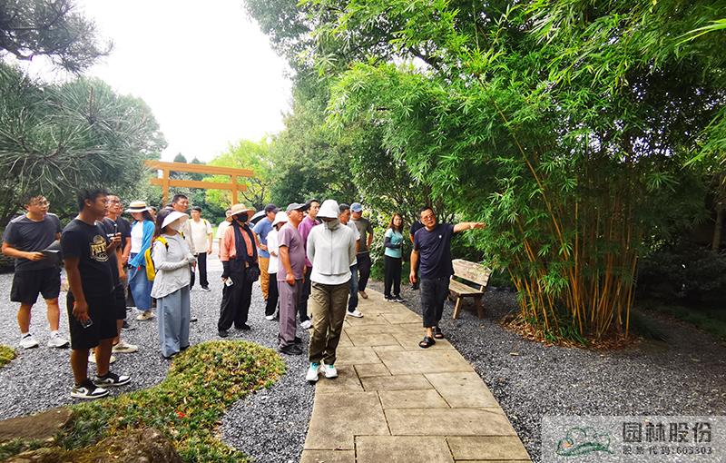 电竞比赛押注app