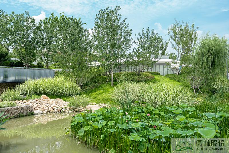 电竞比赛押注app