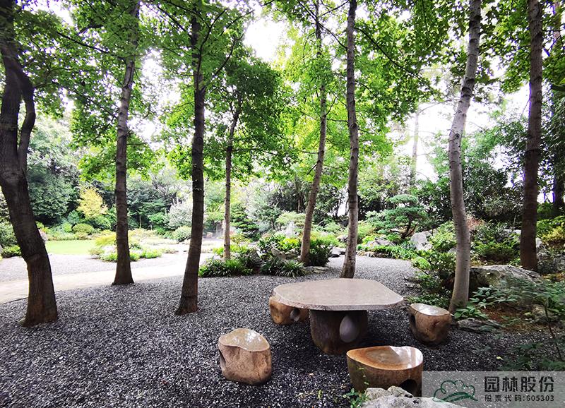 电竞比赛押注app